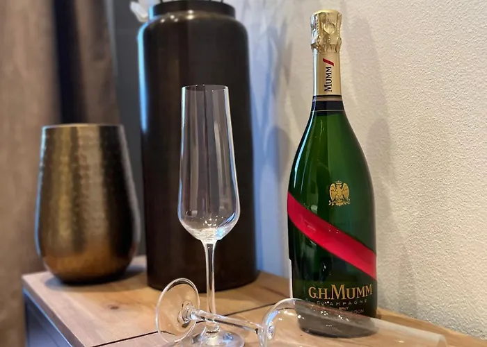 Brussels Airport White Castle Bed & Breakfast 3*