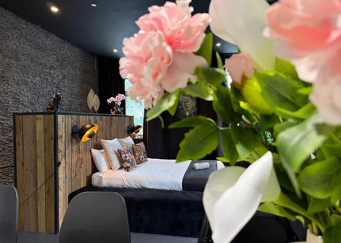 Brussels Airport White Castle Bed & Breakfast 3*